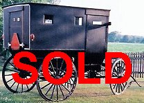 Amish Family Storm Buggy